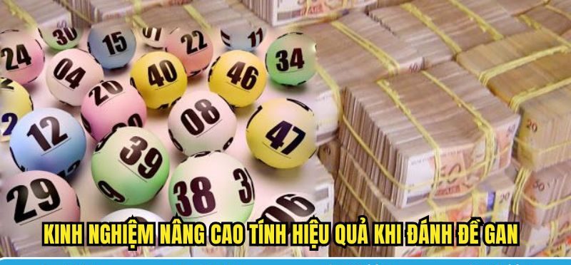 Kinh nghiệm nâng cao tính hiệu quả khi đánh đề gan